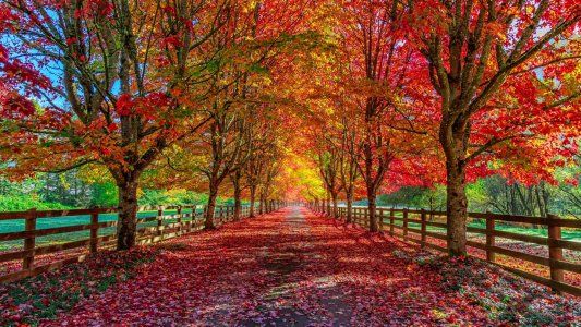 Equinoccio de otoño: ¿qué es, por qué se llama así y cuánto durará?