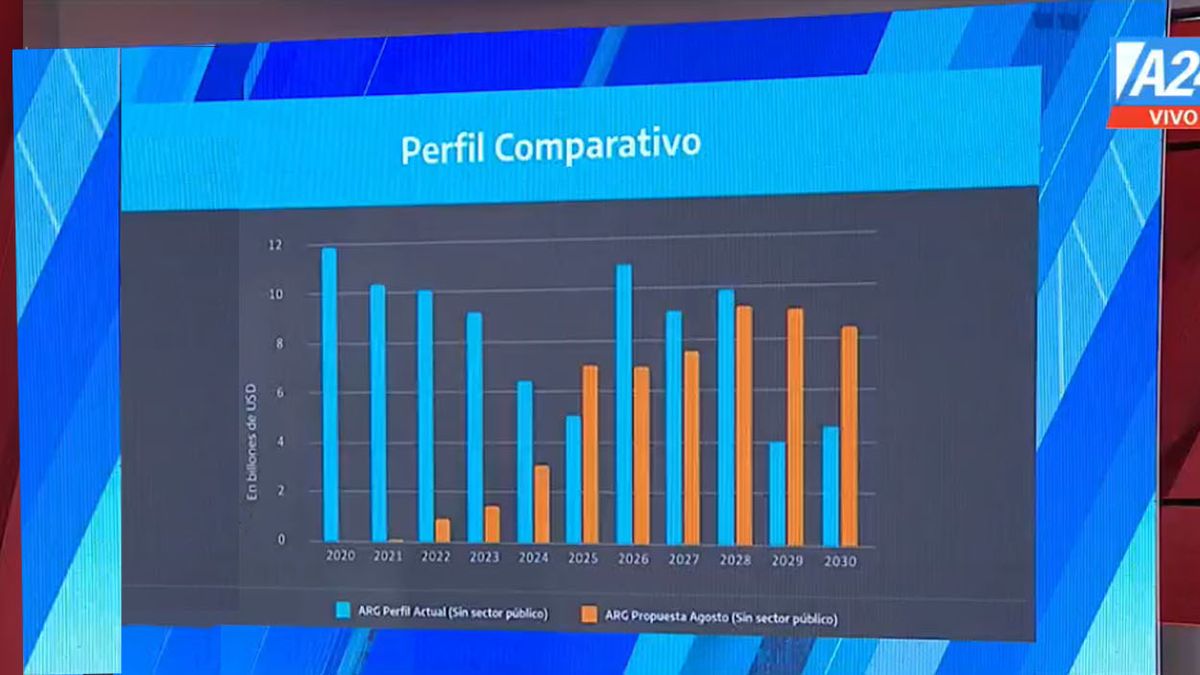 Si se cierra el acuerdo con el FMI, los pagos condicionarán al próximo gobierno desde 2024 en adelante (Foto: Captura de TV)