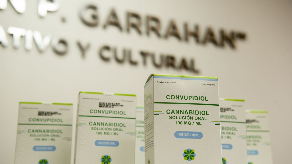 El Ministerio de Salud realizó la primer primera entrega de cannabis medicinal a pacientes del Hospital Garrahan. (Foto: Telam)