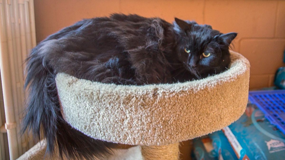 Sasha reapareció tras cinco años.