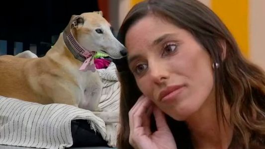 Preocupación por la frase de Catalina Gorostidi sobre París, la perra rescatada que entró a Gran Hermano y desapareció