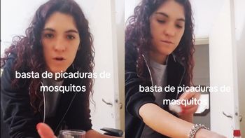 Dura todo el día y tiene rico olor: mostró el truco definitivo y casero para evitar mosquitos