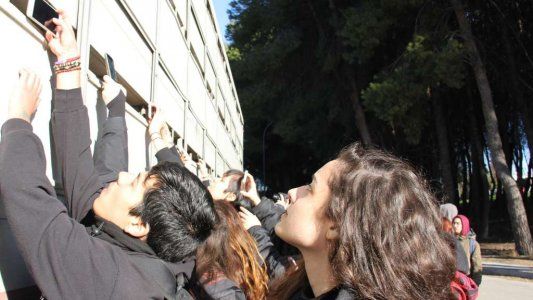 Vigilia vegana: así despiden a los animales que van al matadero