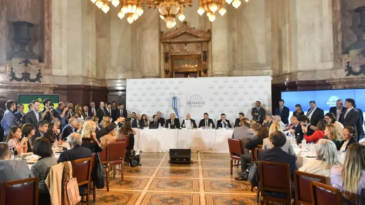 Ley de Bases: este martes continúa el debate en el Senado (Foto: captura)