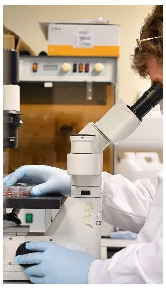 COVID-19: científicos detectan señales de inmunidad duradera incluso tras una infección leve
