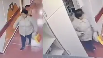 Fue a ver a su nieta internada y terminó detenida por robo: el video