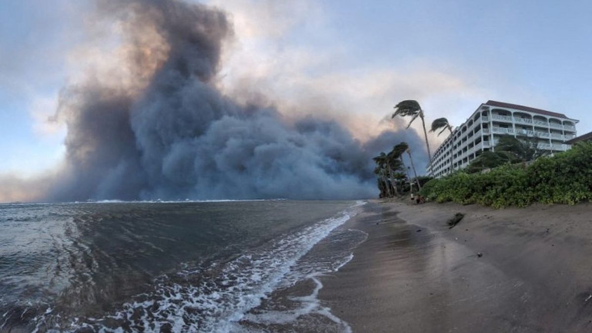 Los incendios sin control en Hawái pueden tener más muertes. (Foto: NA)