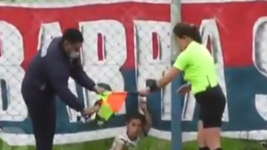 ¡Un tero atacó a una jueza de línea!