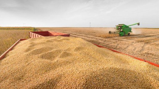 Cómo será la compensación a productores por la suba de retenciones a la soja
