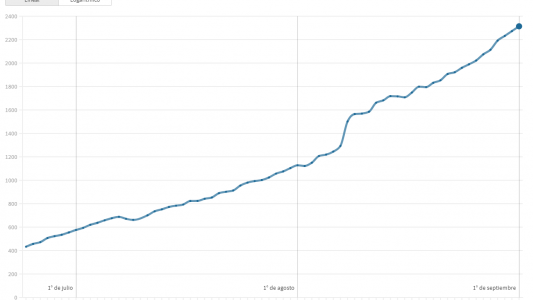 Sistema de salud en alerta: en dos meses se cuadruplicaron los pacientes con Covid-19 en terapia intensiva