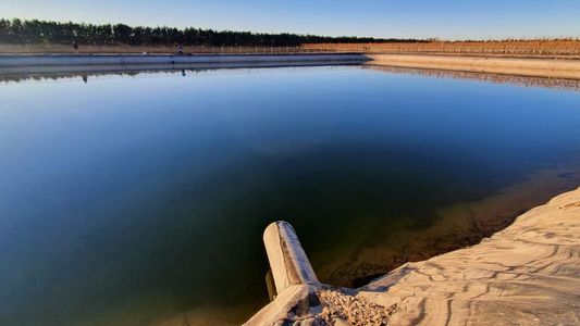 Hallan muerta a una pareja dentro de un piletón en una finca de Mendoza