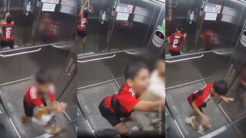Impresionante: un niño salvó de manera heroica a su mascota en un ascensor