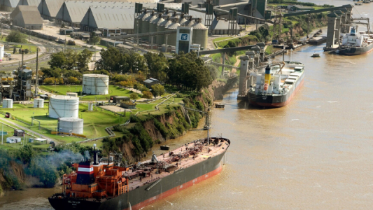 El agro, entre los ganadores de la economía pospandemia