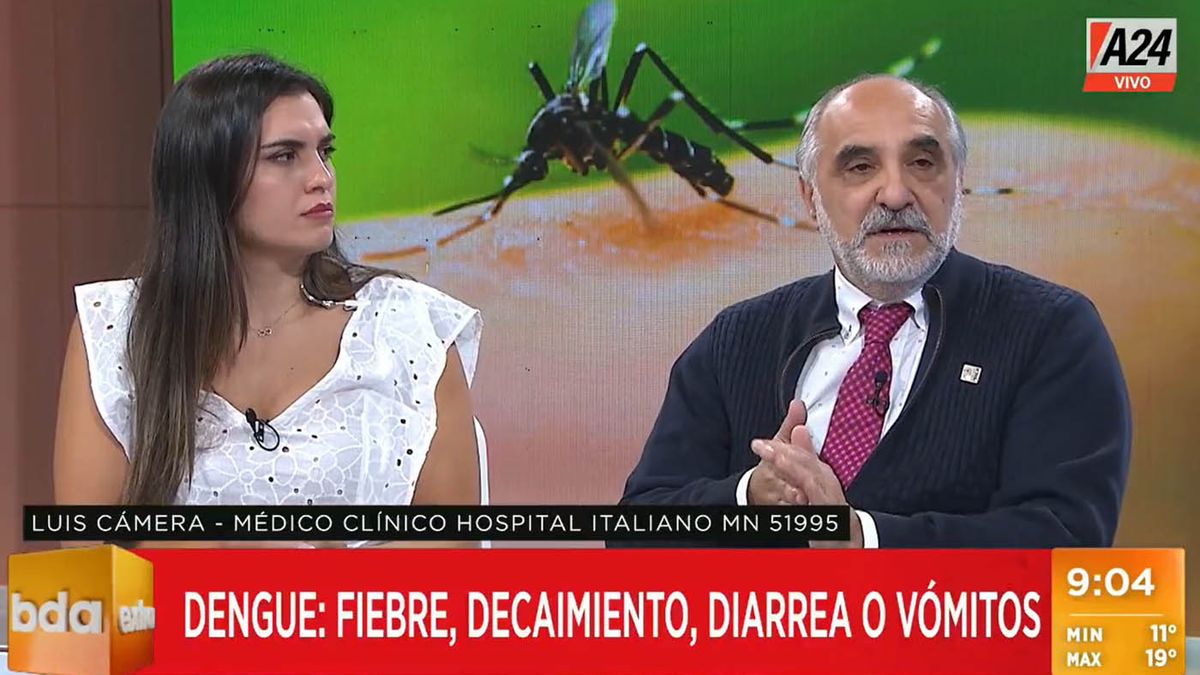 Luis Cámera explicó cómo avanzan los casos de dengue en la Argentina. (Foto: captura de video)