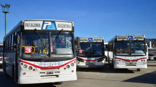 Transporte: la Justicia de Chubut suspendió la quita de subsidios: ¿Qué consecuencias tiene para el precio del boleto?