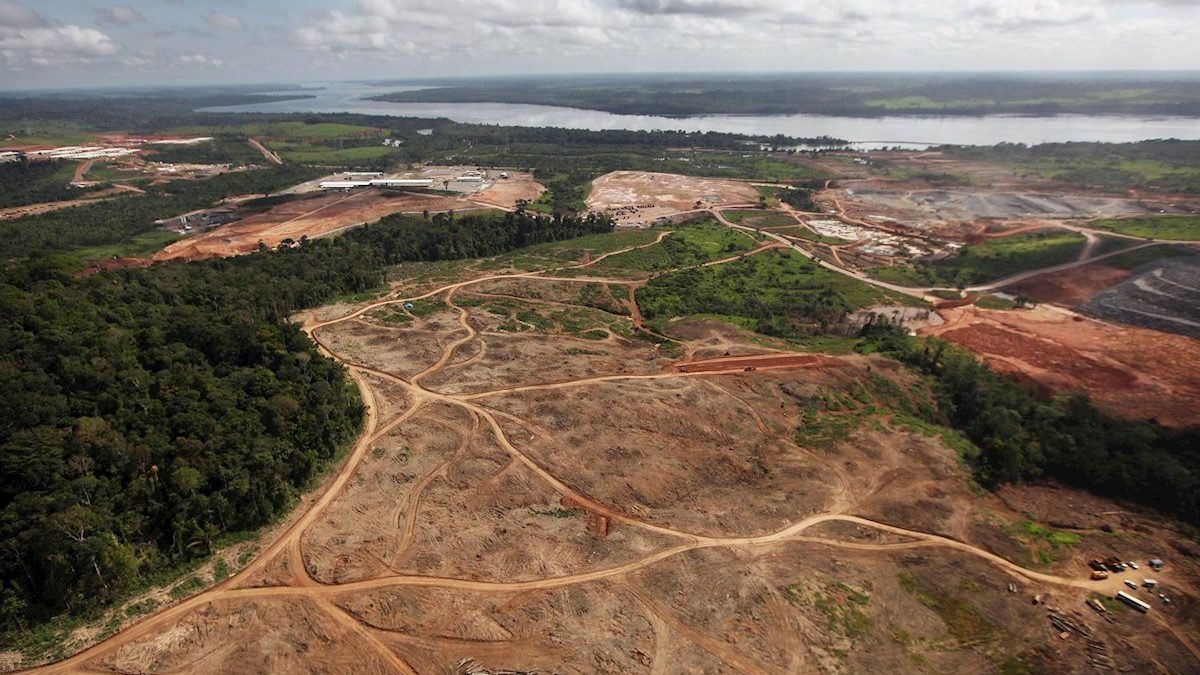 La deforestación de la selva amazónica cambia el clima de manera casi irreversible (Foto: gentileza Periferia).