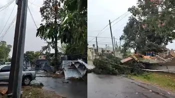 Las impactantes imágenes que dejó el temporal: techos volados, árboles caídos y una pared derrumbada