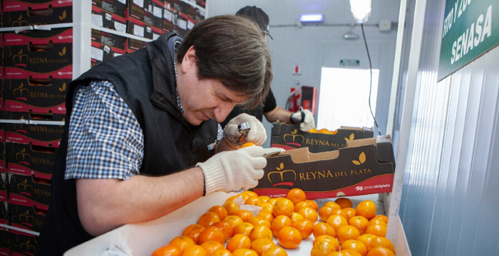 Carnes, frutas y hortalizas crecieron en exportaciones en el primer semestre