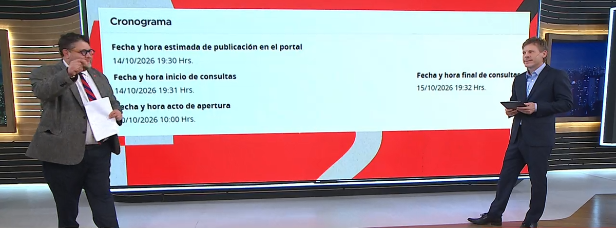 El llamado se public&oacute; el 14 de octubre y el plazo para consultas cerr&oacute; al d&iacute;a siguiente. La apertura de ofertas se realiz&oacute; el 20 de octubre. (Foto: captura).