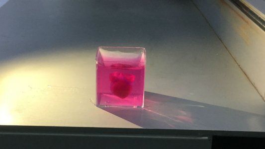 Así imprime corazones en 3D un biólogo israelí que promete revolucionar la medicina del futuro