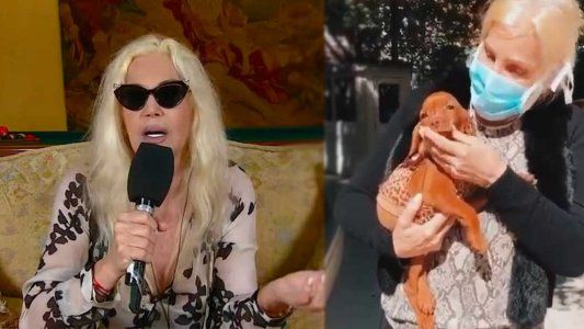 Trascendió cómo fue el accidente que sufrió Susana Giménez por el que debió ser internada