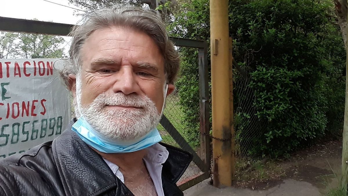 teto medina centro.jpg