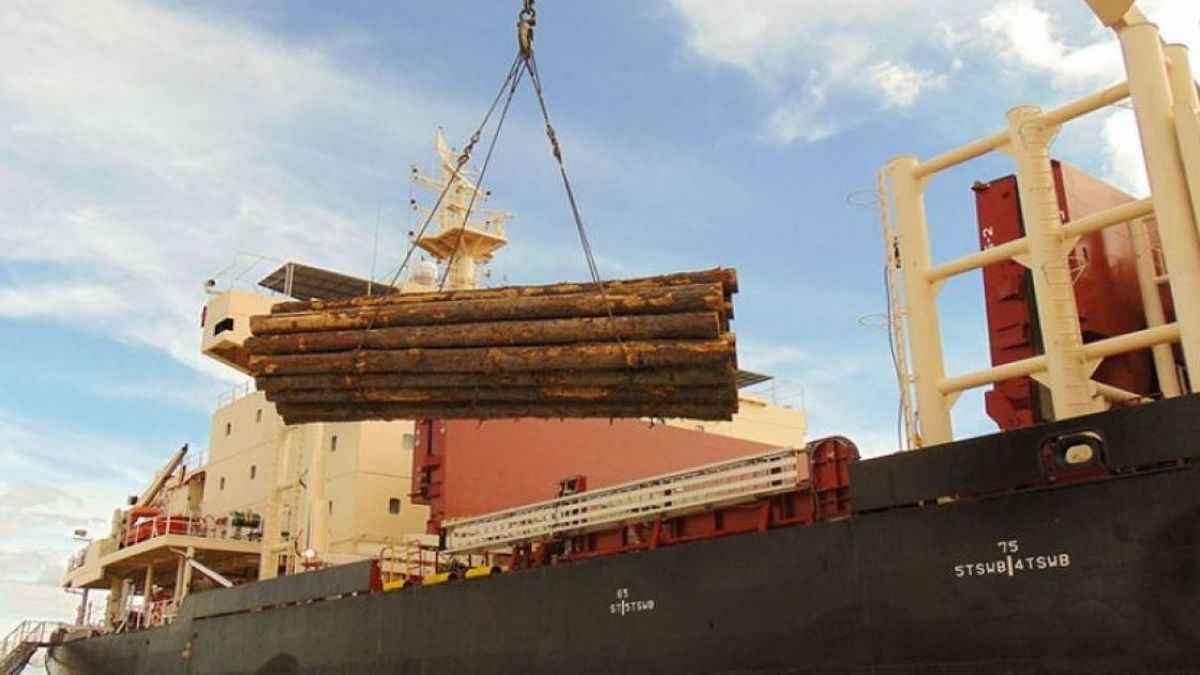 Cerca de 50.000 toneladas de madera de pino a granel producida en Corrientes y Entre Ríos serán cargadas en los próximos días desde los puertos de las ciudades de Concepción del Uruguay e Ibicuy