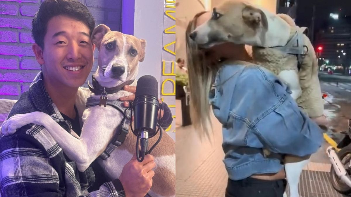 Así fue el reencuentro de exparticipanes de Gran Hermano con el perro Arturo: el video