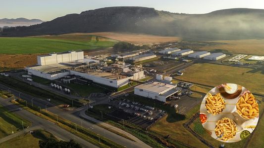 Así opera el gigante de las papas congeladas que lidera el mercado argentino y anunció una inversión de US$100 millones