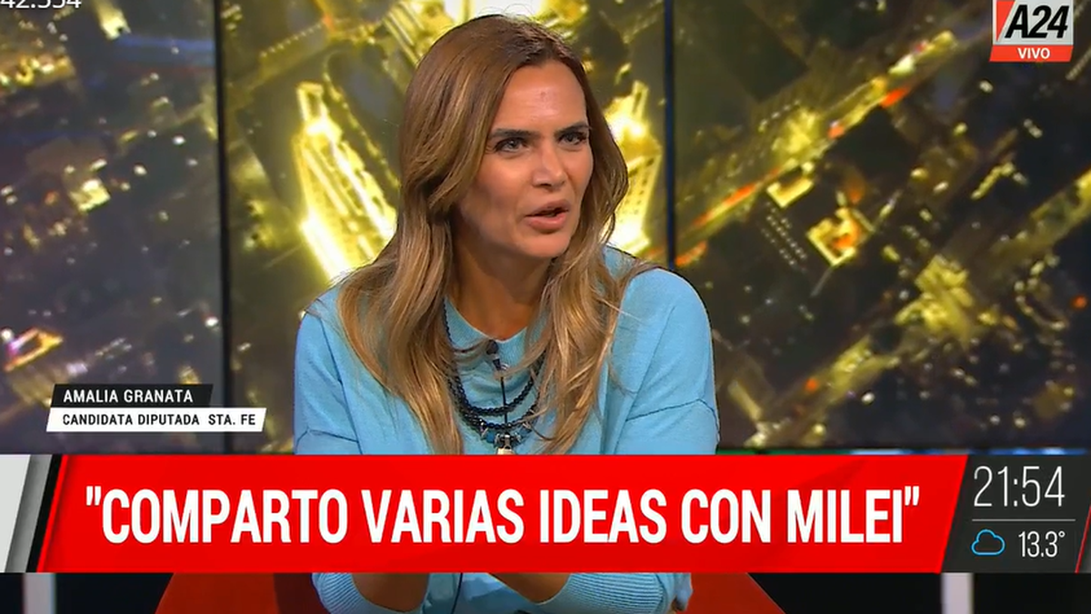 Amalia Granata apoyó a Javier Milei en la previa a las elecciones en Santa Fe. (Foto: captura A24)