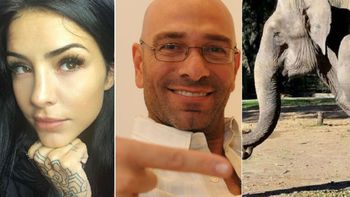 Famosos conmovidos por la muerte de la elefanta Pelusa: Descansa en paz