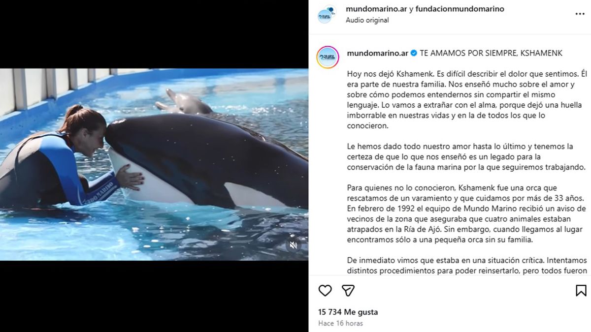 https://media.a24.com/p/f5edc38241bb93962573b39853523a0b/adjuntos/296/imagenes/009/673/0009673004/1200x675/smart/posteo-mundo-marino-el-fallecimiento-la-orca.jpg