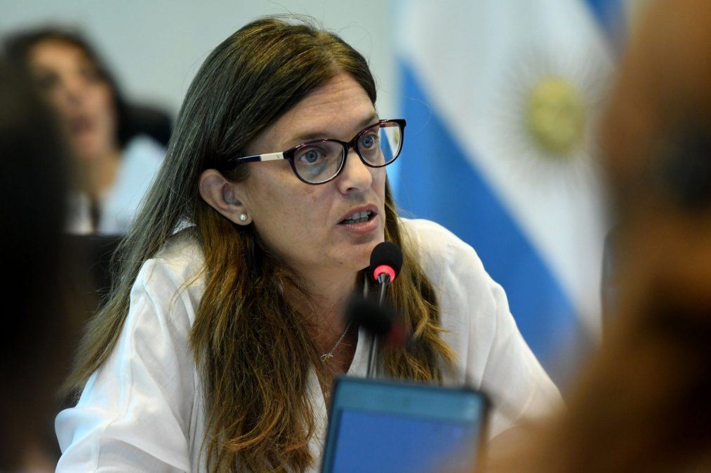 Salud pública, igualdad y libertad de acción, los argumentos de los 16 expositores a favor de la despenalización