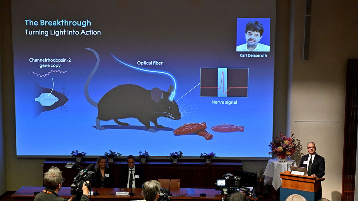 Deisseroth, Hegemann y Nagelwin ganan el Nobel de Medicina de 2026. (Foto: Reuters)