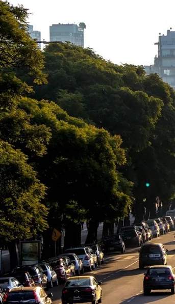 Mini primavera en pleno invierno: hasta cuándo sigue el calorcito y qué día vuelve la lluvia