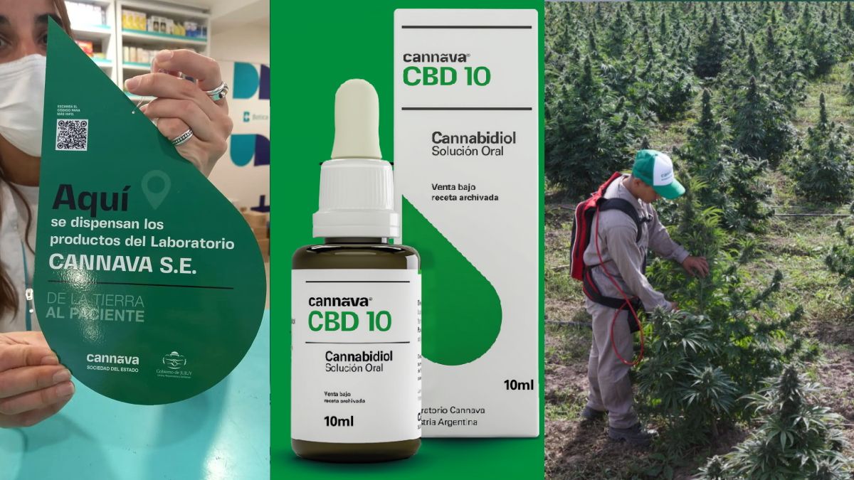 Desde diciembre de 2021 el aceite de cannabis medicinal se puede adquirir en farmacias de Jujuy (Foto: Cannava).