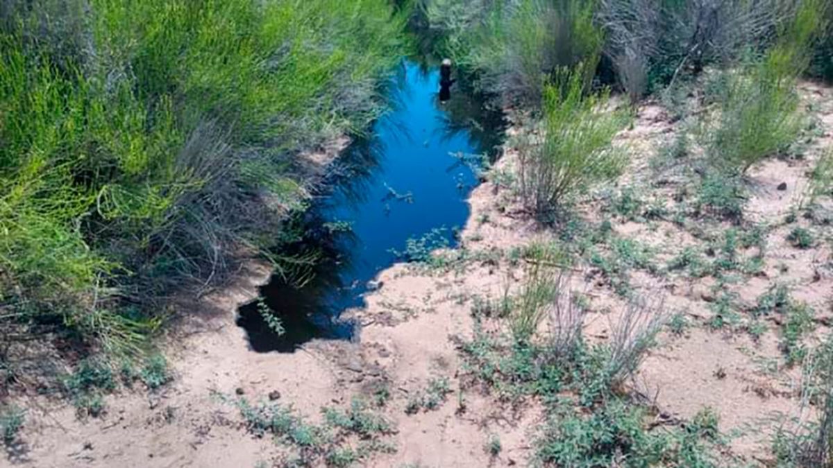 El Gobierno de Río Negro confirmó que se derramaron más de 3 millones de litros de petróleo (Foto: Télam)