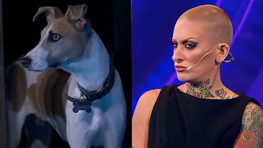 Se supo por qué Gran Hermano no devolvió al perro Arturo tras las agresiones de Furia