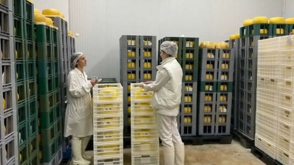 Quesos Don Atilio proyecta un segundo envío por 1.200 kilos pasra febrero. (Foto Don Atilio)