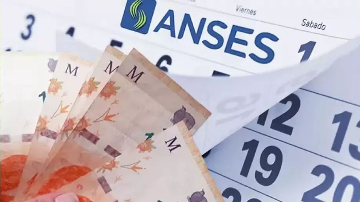 Calendario Anses Agosto 2024 5665