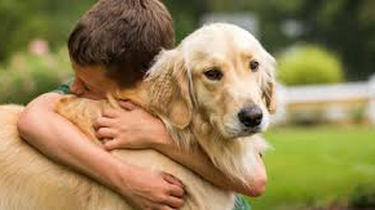 Pagó el precio: una mujer envenenó a 10 perros y y murió tras consumir el mismo producto que le había dado a los animales
