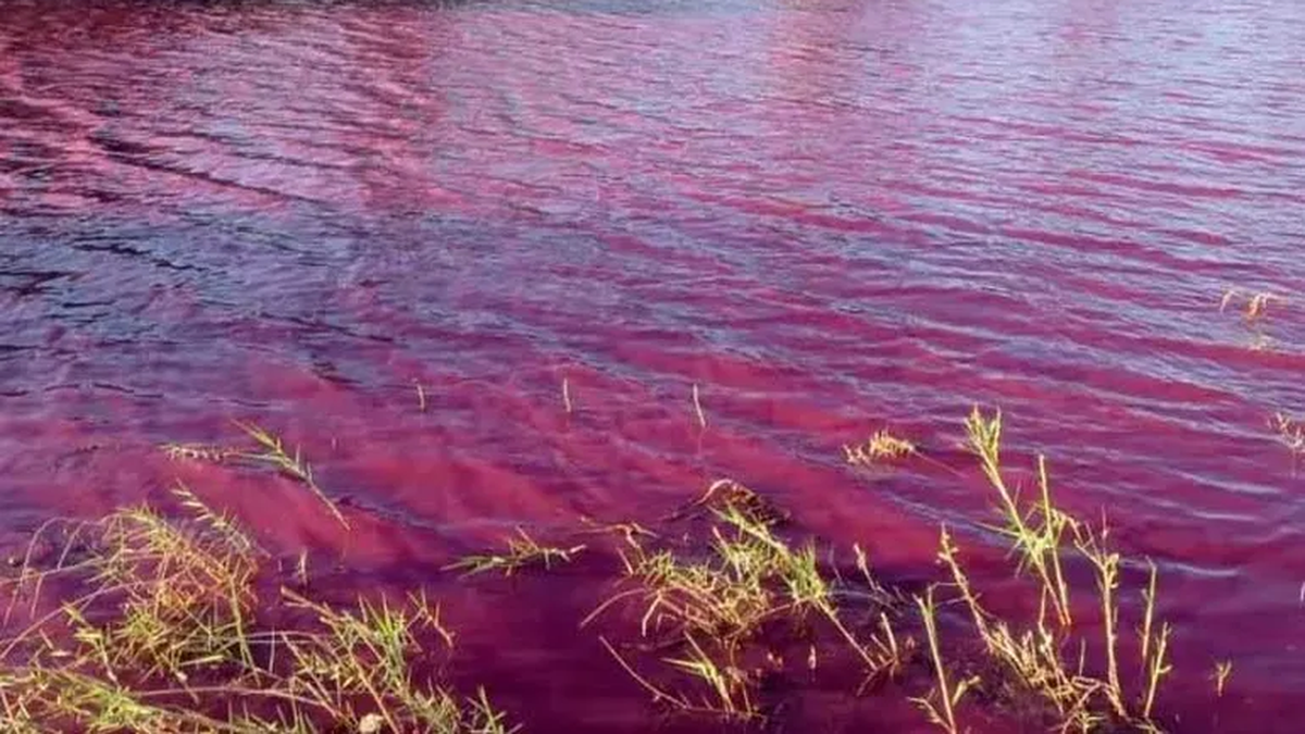 Imágenes Inéditas Del Río Nilo Teñido De Rojo Las Razones Del Extraño Fenómeno Contexto Tucuman 0171