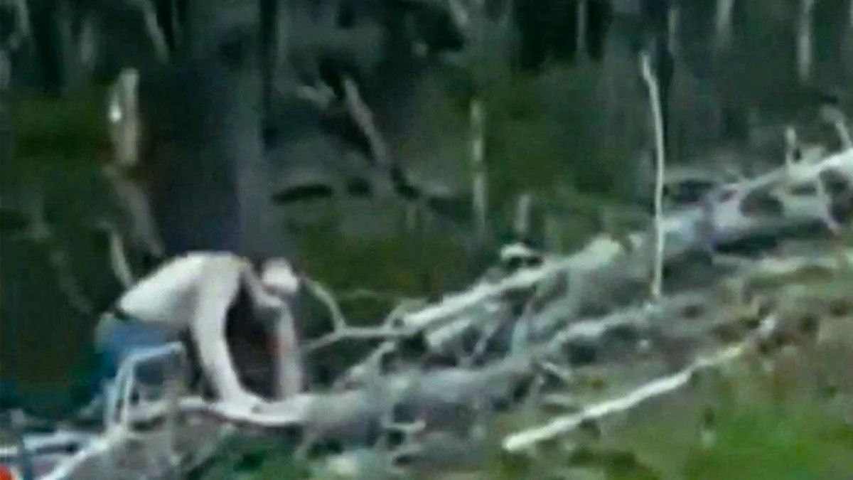 El momento que apareció en la ruta el supuesto zombie. 