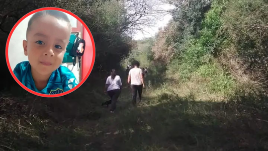 Caso Loan: revelan el hallazgo de una misteriosa prueba en el naranjal en el momento de la desaparición