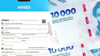 ANSES presentó un nuevo sistema para cobrar el acumulado de la AUH