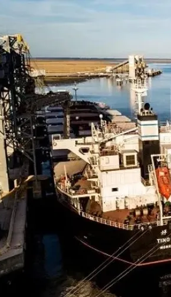 Las exportaciones bonaerenses alcanzaron los USD 2.080 millones en junio