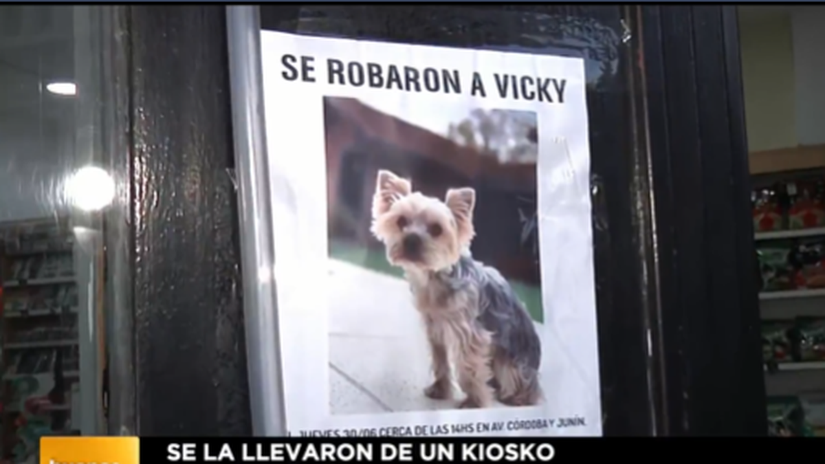Desesperada búsqueda de Vicky