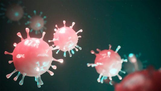 ¿Cepa o variante?: claves para entender las mutaciones del Covid en el mundo