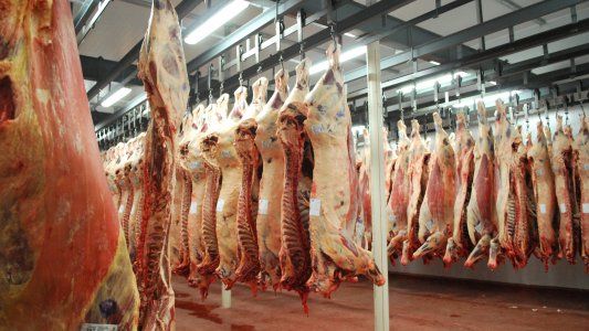 Adiós a la media res: modifican el peso límite para el manejo manual de cuartos