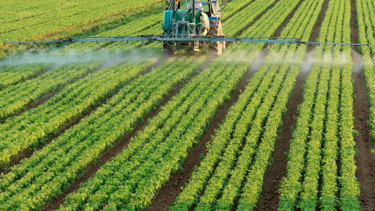 La actividad económica cayó 1,3% en un año y ya lleva doce meses a la baja